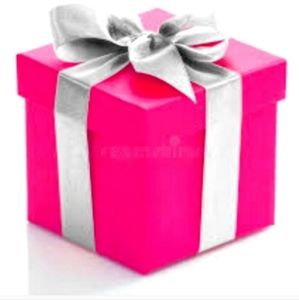 Mystery Box #4 Women's Size Box 12x12x6 New & Used .